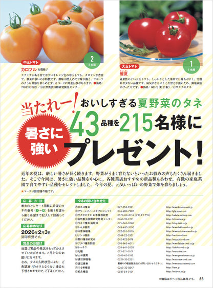 【書籍】野菜だより2026年1月新春号(112601)