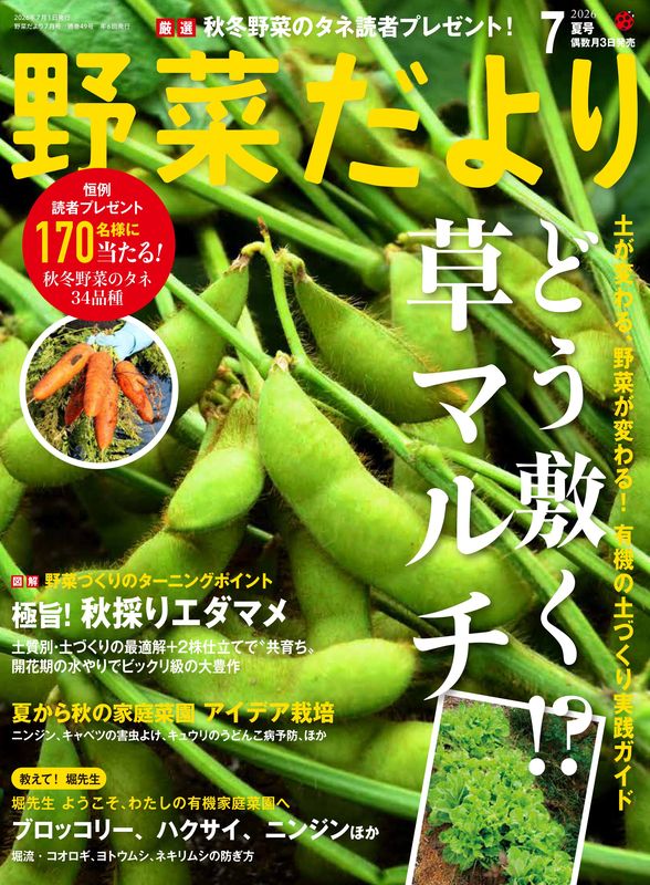 野菜だより – ブティック社 公式オンラインストア