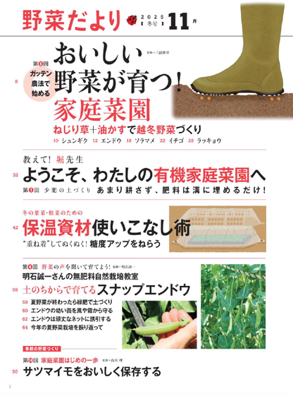 【書籍】野菜だより2025年11月冬号(112511)