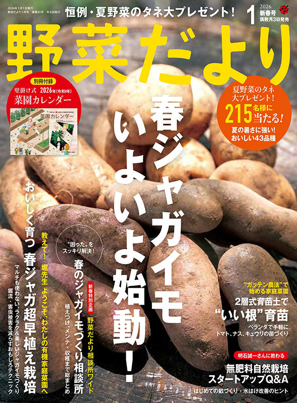 野菜ページ 書籍】野菜だより2026年1月新春号(112601) – ブティック社 公式