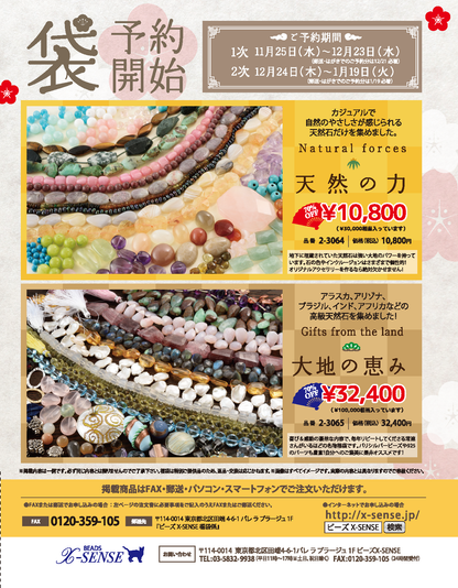 【電子版】ビーズfriend 2016年冬号Vol.49