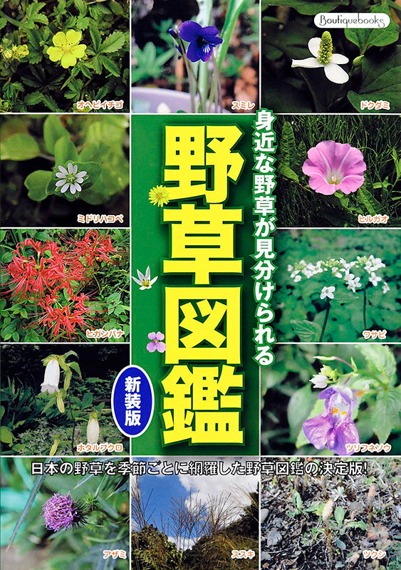 書籍】野草図鑑 新装版(K11) – ブティック社 公式オンラインストア