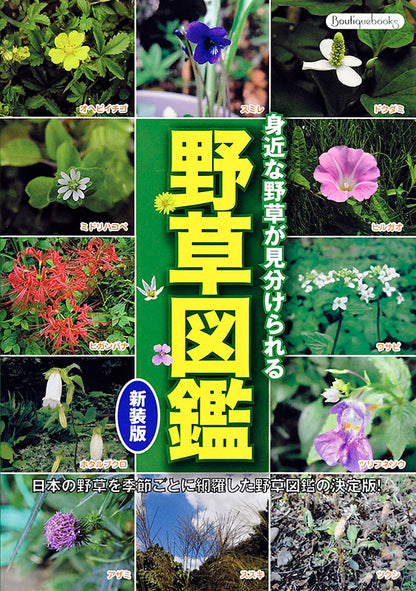 【書籍】野草図鑑 新装版(K11)