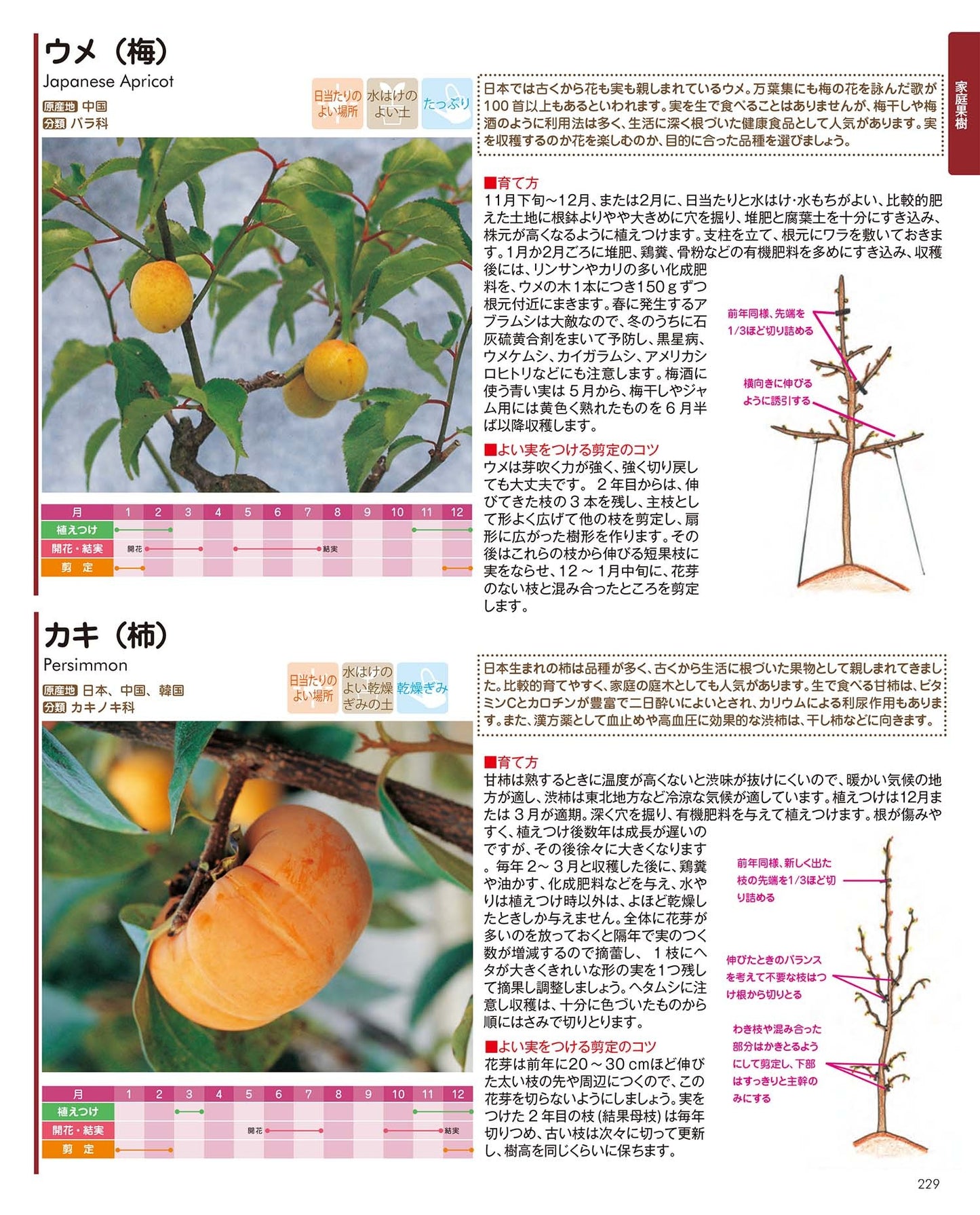 【書籍】園芸大図鑑 新装版(K31)