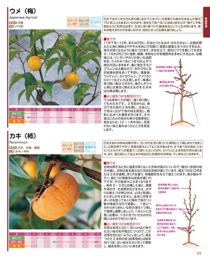 【書籍】園芸大図鑑 新装版(K31)