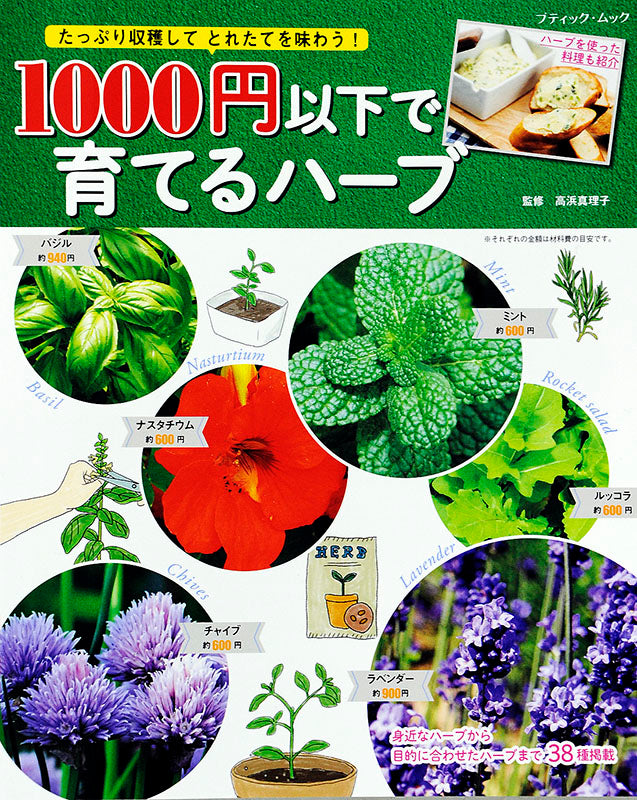 1000円以下で育てるハーブ(M1353)
