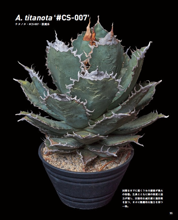 【書籍】珍奇植物図鑑 超造形植物グラフ(M1949)