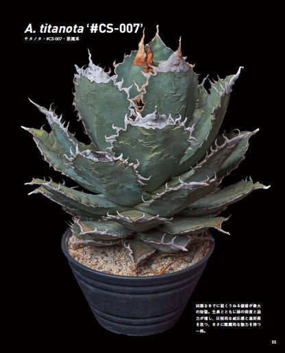 【書籍】珍奇植物図鑑 超造形植物グラフ(M1949)